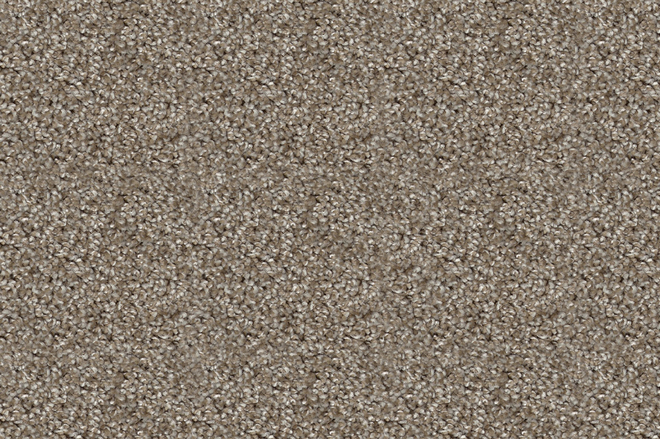 Canyon Cove Carpet